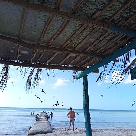 Mi Habitat Holbox-Maravilla Natural Exterior photo