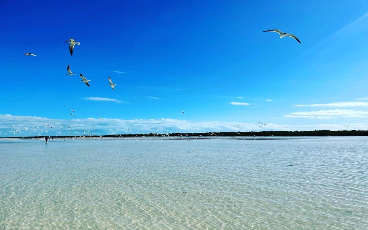 Mi Habitat Holbox-Maravilla Natural Exterior photo