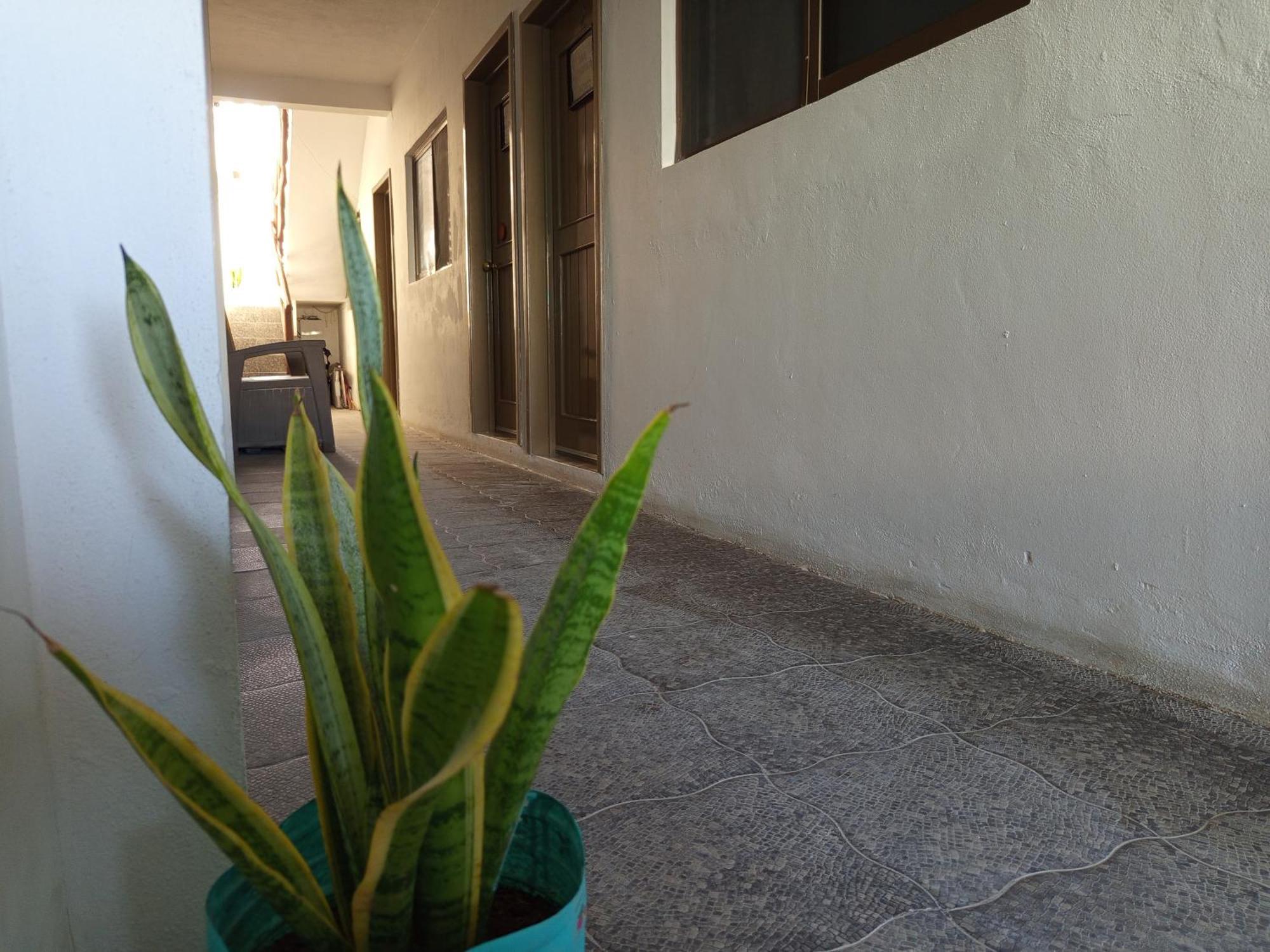 Mi Habitat Holbox-Maravilla Natural Exterior photo
